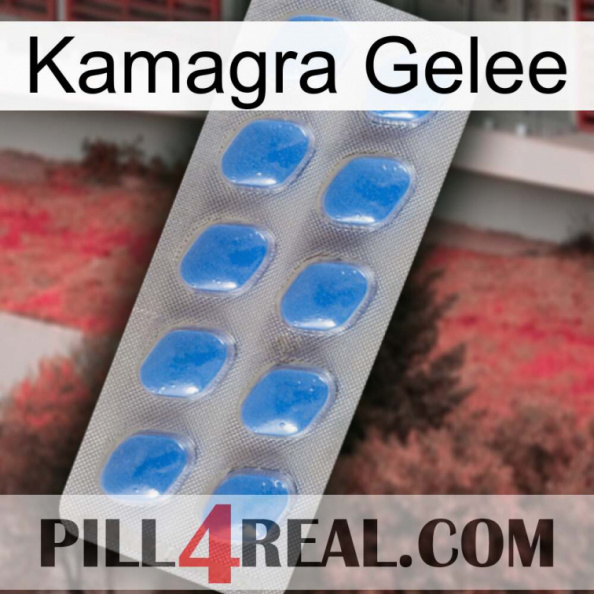 Kamagra Jelly 22